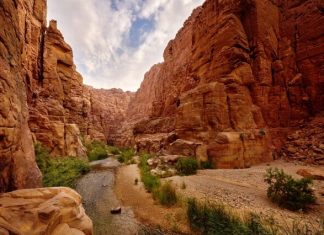 Иордания отменяет ПЦР-тесты для иностранных туристов