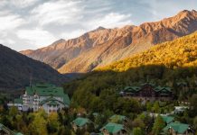 Краснодарский край отказывается от QR-кодов с 4 марта