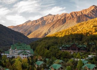 Краснодарский край отказывается от QR-кодов с 4 марта