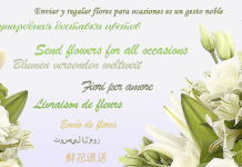 Доставка цветов и букетов в Кировограде