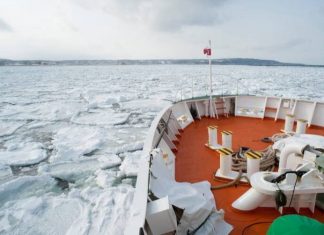 Ложный «арктический» след: США строят ледоколы для «аншлюса» Антарктиды?