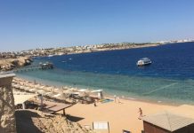 «Лучшее наполнение номеров», аквариум в море и беда с экскурсиями: туристка рассказала об отдыхе в Шарм-эль-Шейхе