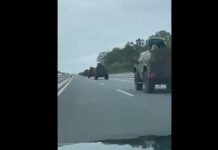 Напряженность на границе Сербии и Косова: Белград стягивает бронетехнику