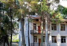 «Не совсем понимаю негативные отзывы»: россиянка рассказывает об отдыхе в Абхазии