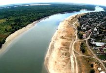 Обмеление Дона ведет к экологической катастрофе на Юге России