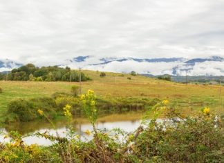 Отели Абхазии предлагают скидки до 25 процентов