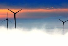 Почему Россия отказалась помочь США преодолеть энергетический кризис