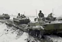 Почему за Украину должна воевать не Россия, а Освободительная армия Украины