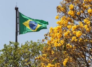 Политолог рассказал о влиянии украинского кризиса на Бразилию