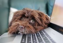 Пользователям дали 3 совета, как восстановить даже самую «убитую» клавиатуру