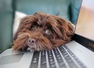 Пользователям дали 3 совета, как восстановить даже самую «убитую» клавиатуру