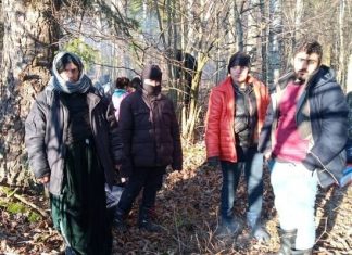 Проводниками для мигрантов в Белоруссии руководили из Минска