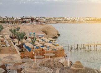 «Россия» готова выполнять рейсы из Москвы на курорты Египта с 9 августа