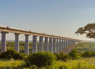 Россияне могут попасть в Кению с ПЦР-тестом