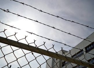 Российских педофилов будут сажать на пожизненный срок