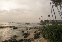 Шри-Ланка открыта для всех туристов из России — с вакцинами и без них