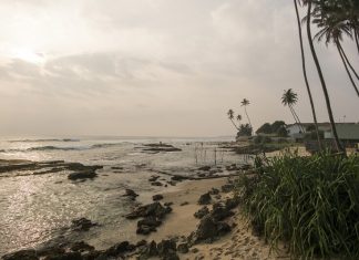 Шри-Ланка открыта для всех туристов из России — с вакцинами и без них