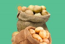 Как выбрать картофель на посадку