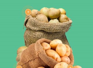 Как выбрать картофель на посадку