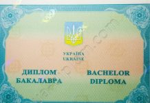 Куплю диплом почему это решение становится все более популярным