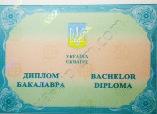 Куплю диплом почему это решение становится все более популярным