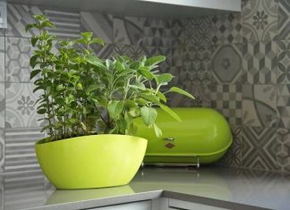 Горшки для цветов от Клиома Сервис