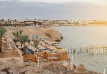 «Сплошное разрушение мифов»: впервые побывавшая в Египте туристка делится впечатлениями