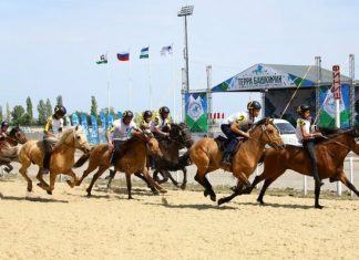 Станет ли Башкирия центром развития коневодства России?