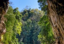 Таиланд с 1 июня изменил правила въезда в страну