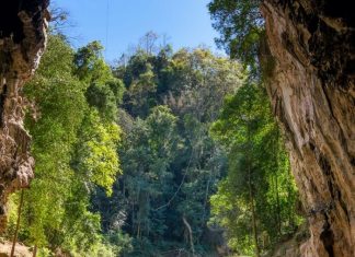 Таиланд с 1 июня изменил правила въезда в страну