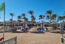 «Танцами нас развлекали официанты»: россияне делятся восторженным отзывом об отеле в Шарм-эль-Шейхе