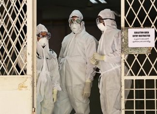 В Центре Гамалеи оценили опасность вируса Нипах