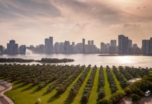 В ОАЭ ослабляют антиковидные ограничения