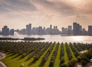 В ОАЭ ослабляют антиковидные ограничения