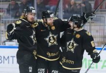 В России развивают хоккей на пустом месте, вредя другим видам спорта