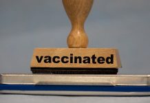 В загранпаспорт предложили вносить сведения о вакцинации