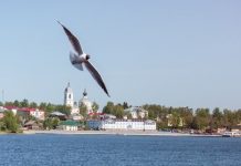 «ВодоходЪ» предлагает туристам проектировать круизы самостоятельно