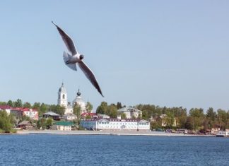 «ВодоходЪ» предлагает туристам проектировать круизы самостоятельно