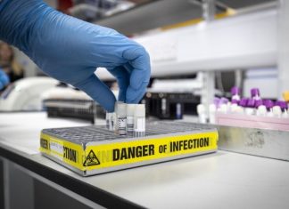 ВОЗ созывает чрезвычайную встречу экспертов для обсуждения вспышки оспы обезьян