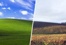 Windows XP — 20 лет. И она все еще кому-то нужна