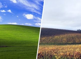 Windows XP — 20 лет. И она все еще кому-то нужна