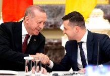 Зачем Эрдоган рвется в «посредники» между Киевом и Москвой