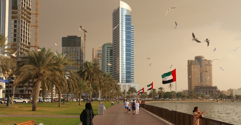 Отдохнувшая в ОАЭ россиянка делится полезными советами с теми, кто собирается в страну